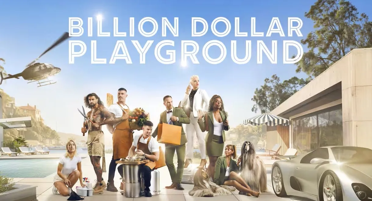 Billion Dollar Playground