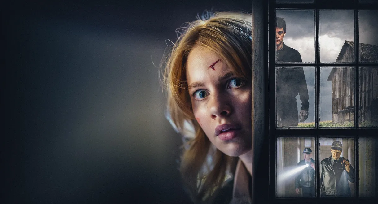 Girl at the Window
