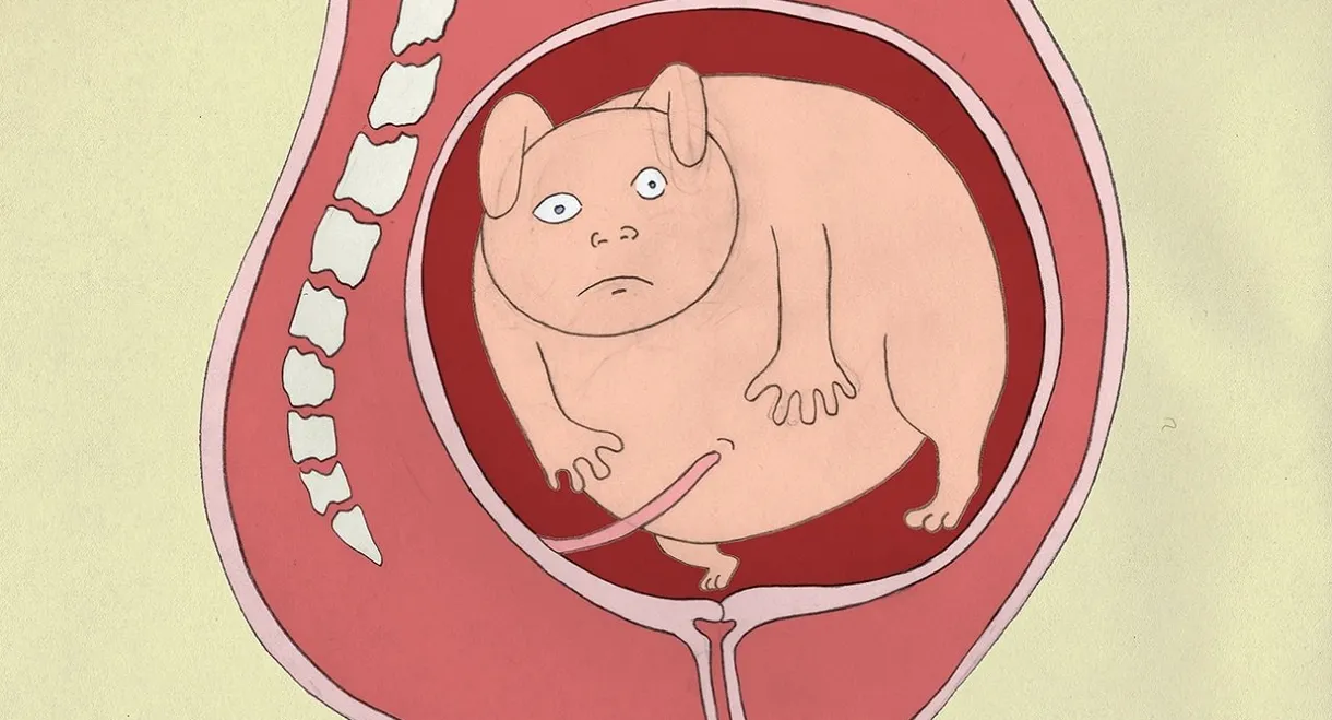 Birth