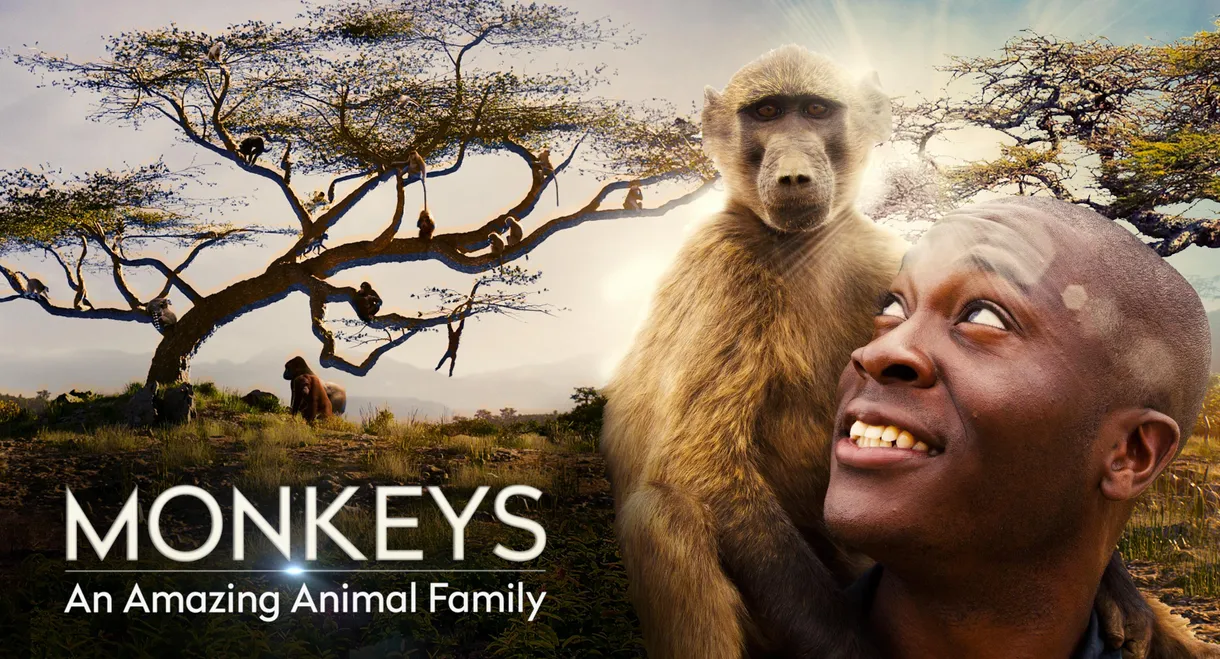 Monkeys: An Amazing Animal Family