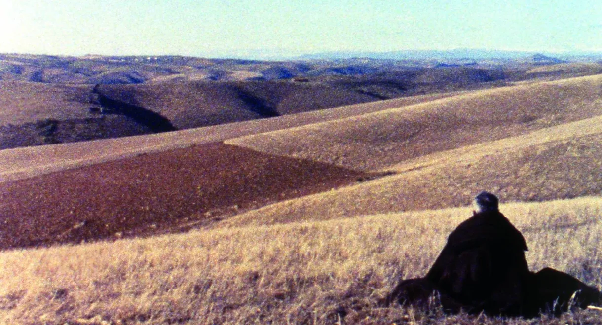 Trás-os-Montes
