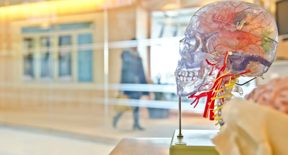 Secrets of the Brain