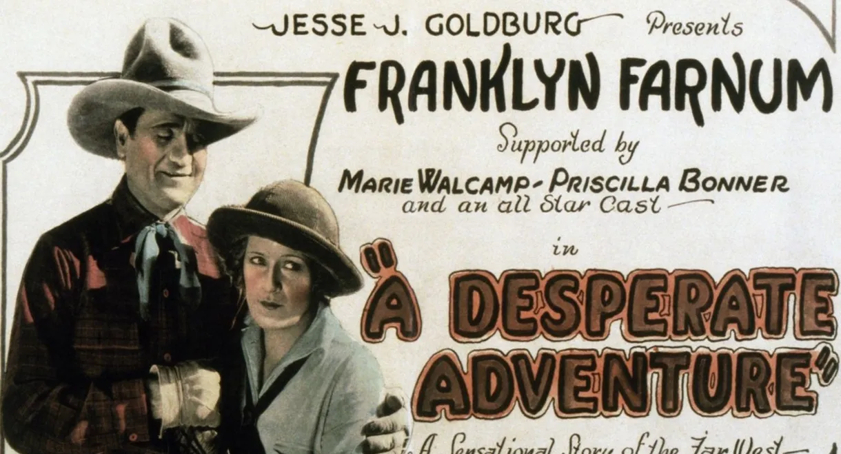 A Desperate Adventure