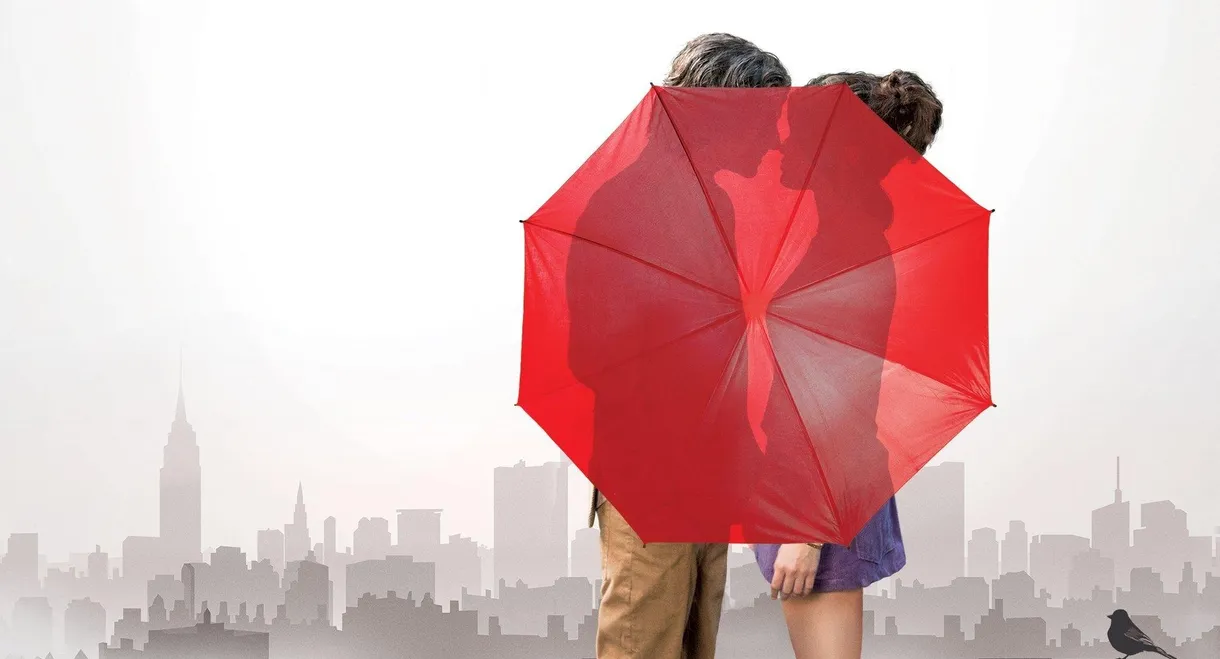 A Rainy Day in New York