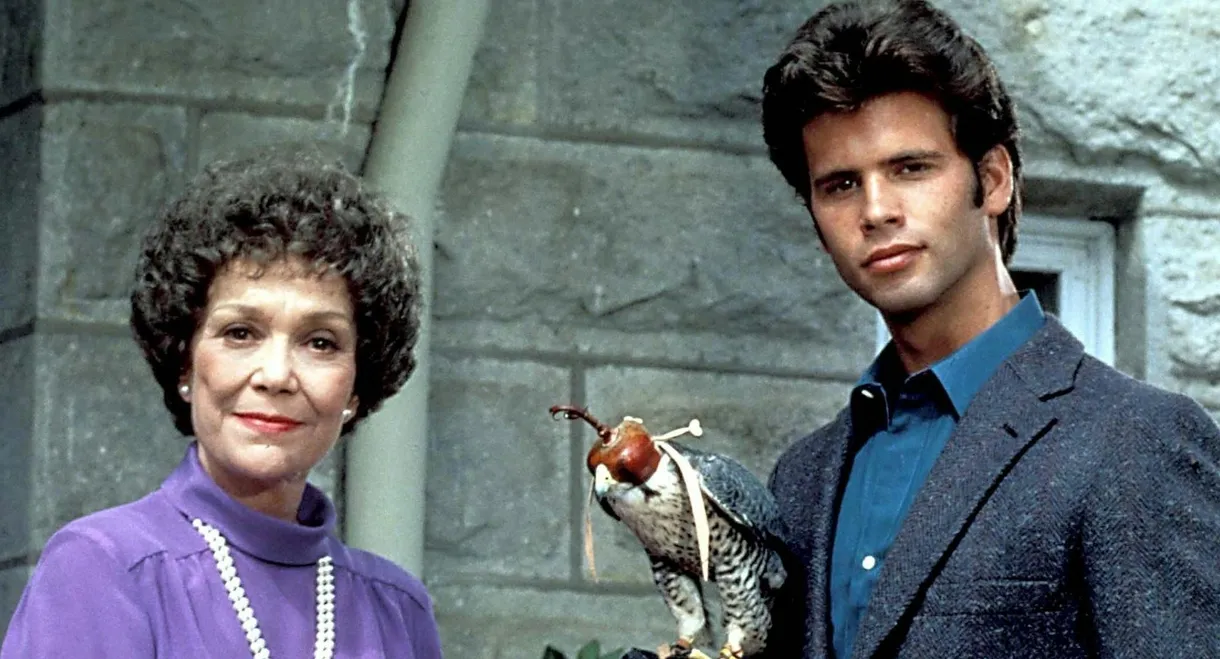Falcon Crest