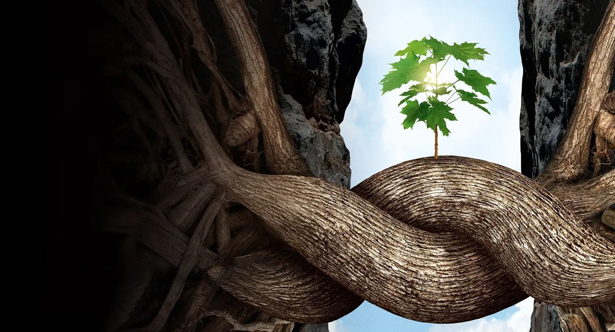 Intelligent Trees