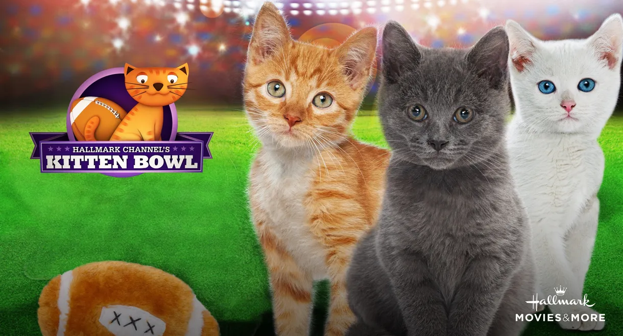 Kitten Bowl
