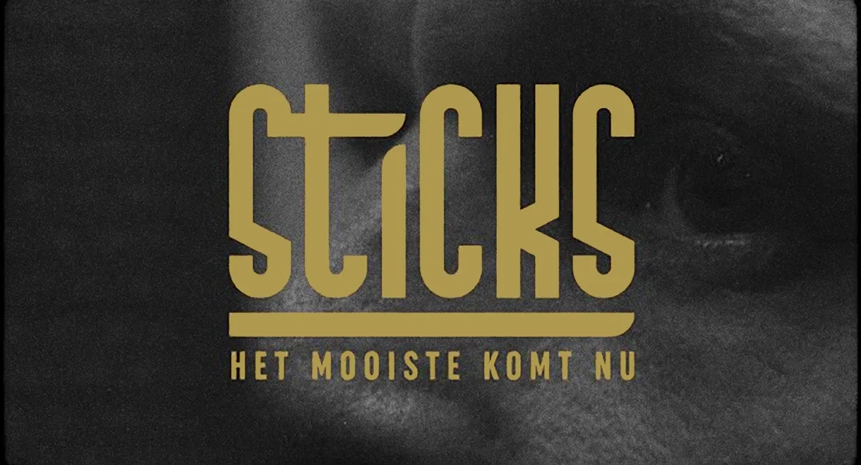 Sticks - Het Mooiste Komt Nu