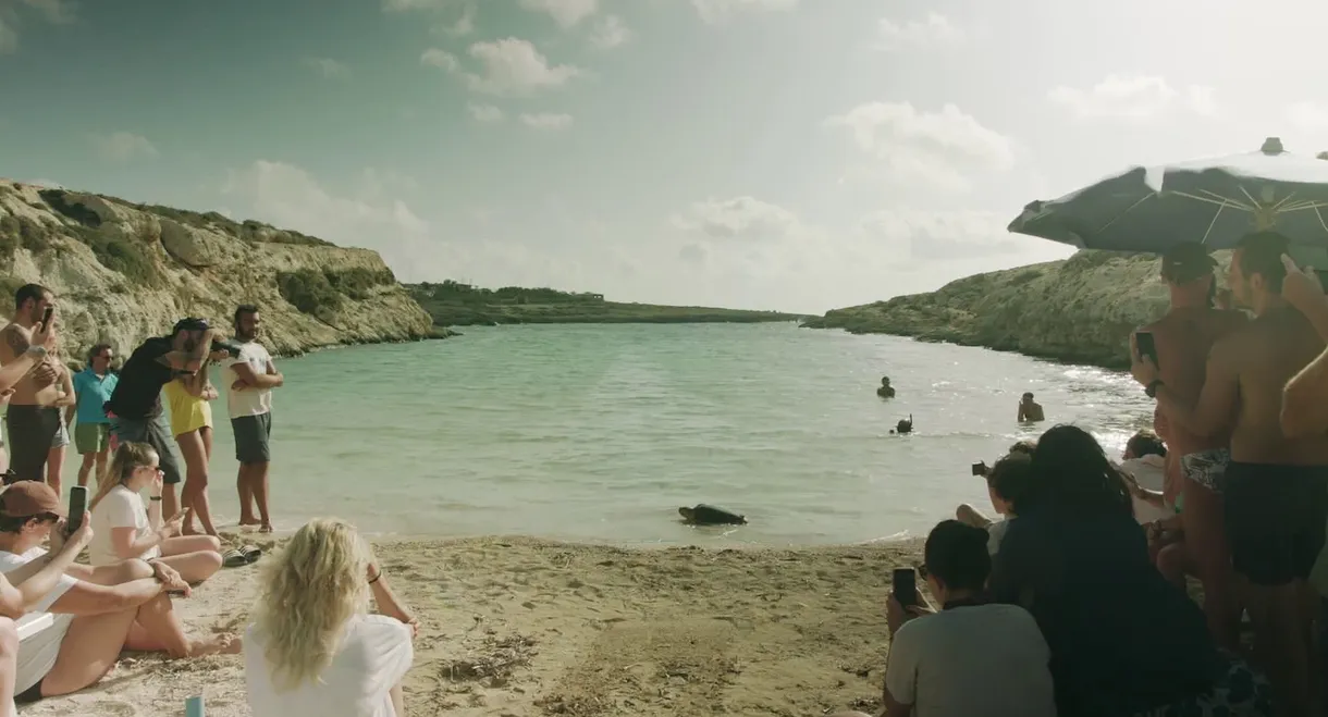 The Last Island