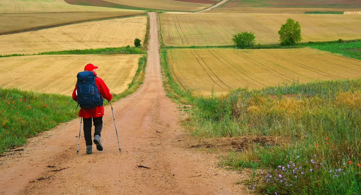 The Way, My Way