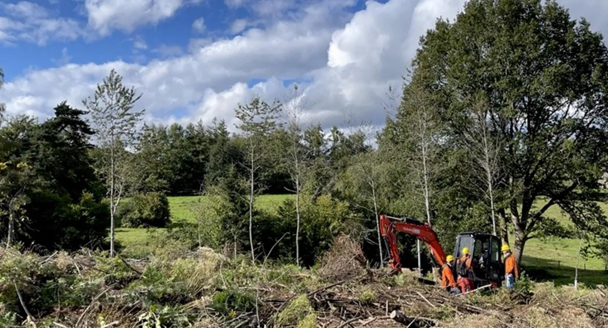 Forêts françaises en quête d'avenir