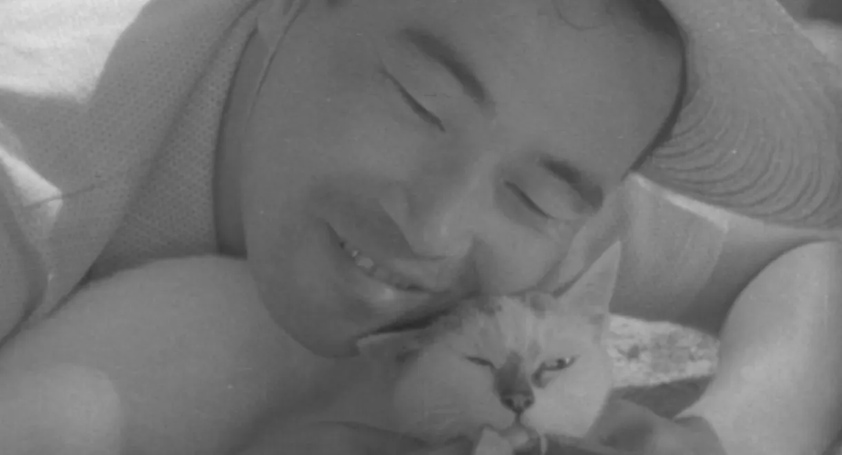 Shozo, a Cat and Two Women