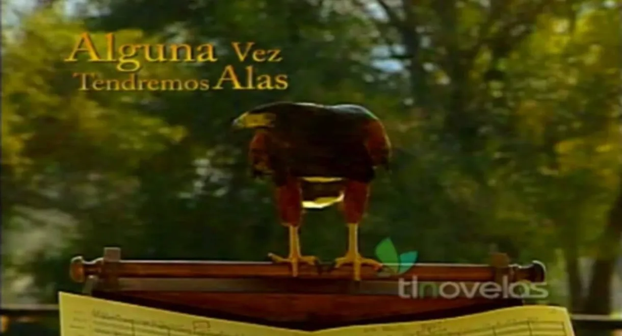 Alguna Vez Tendremos Alas