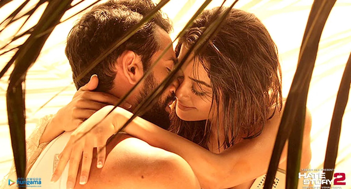 Hate Story 2
