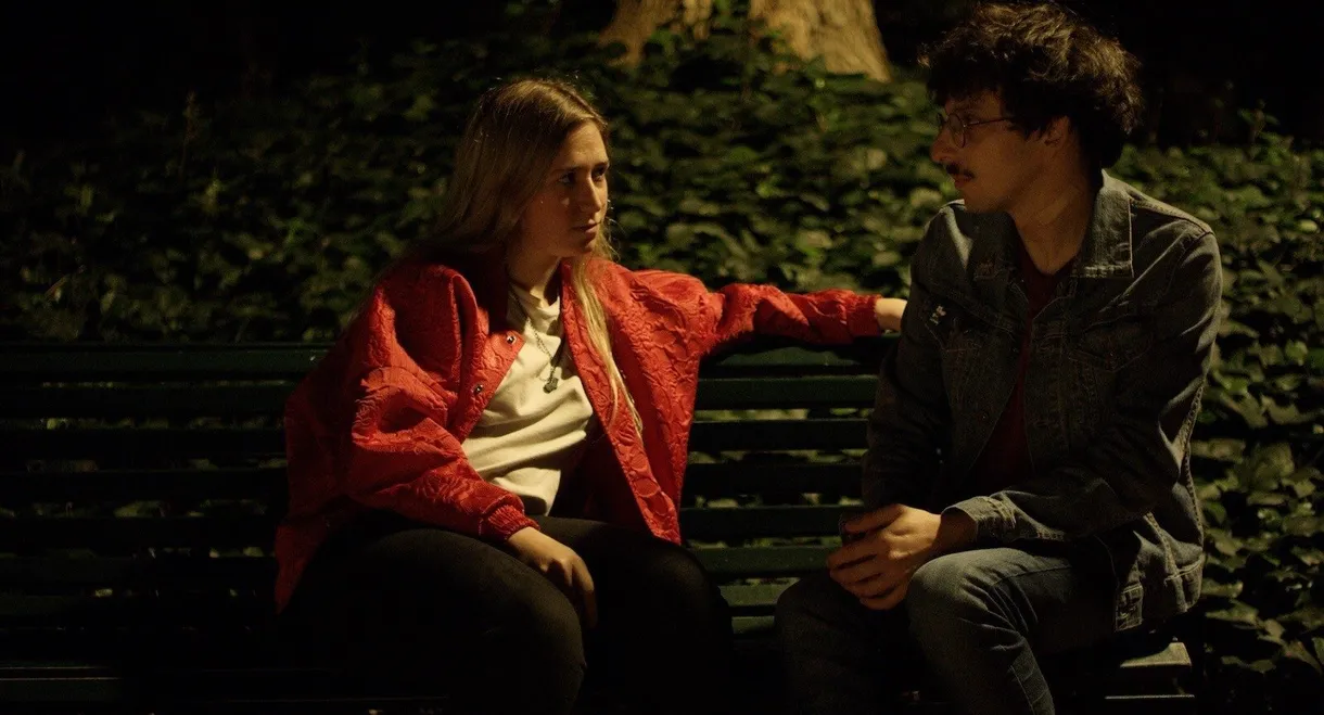 In the Dark Park
