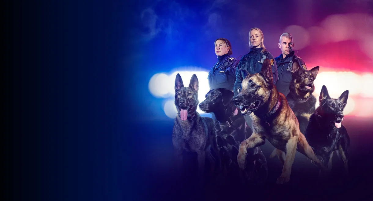 The Dog Patrol