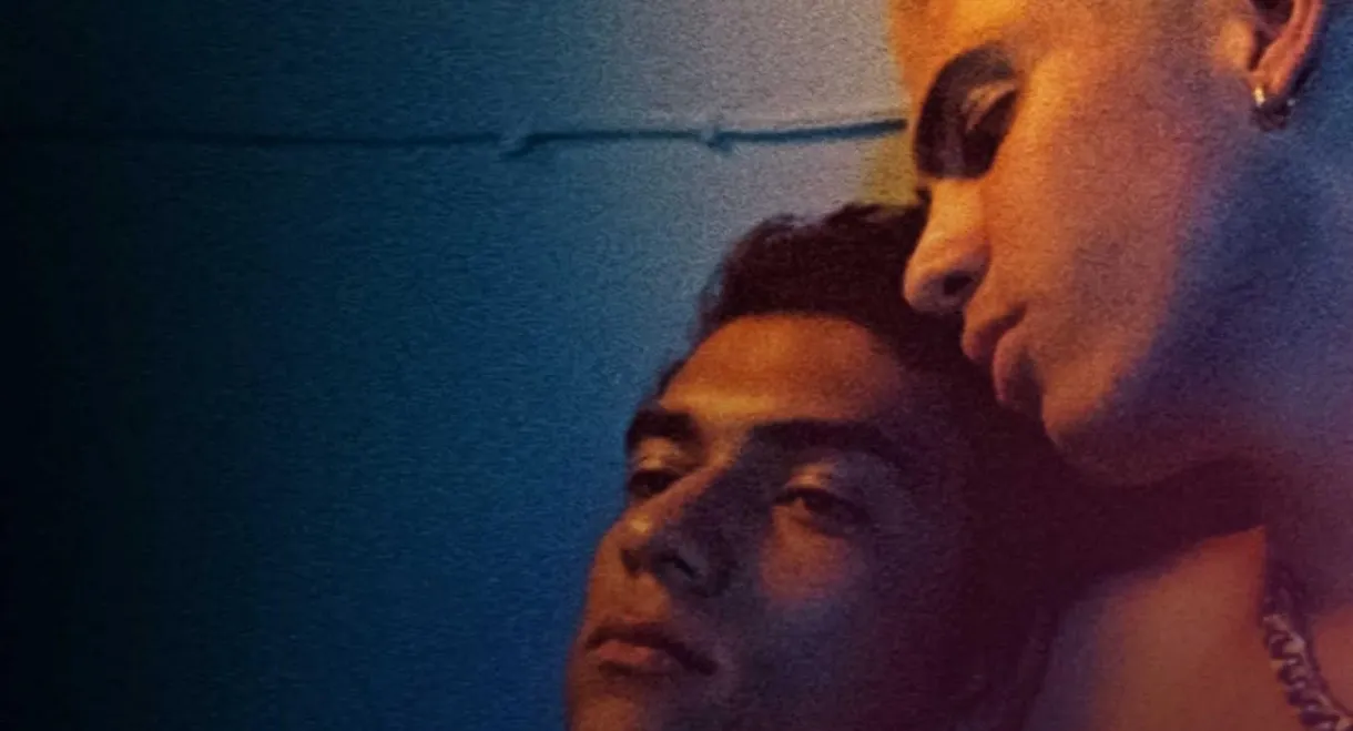 The Male Gaze: Boy Trouble