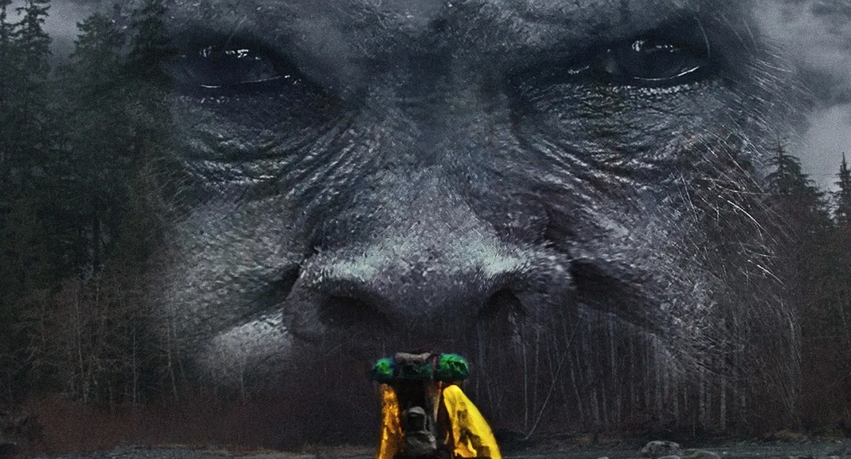Hunting Bigfoot