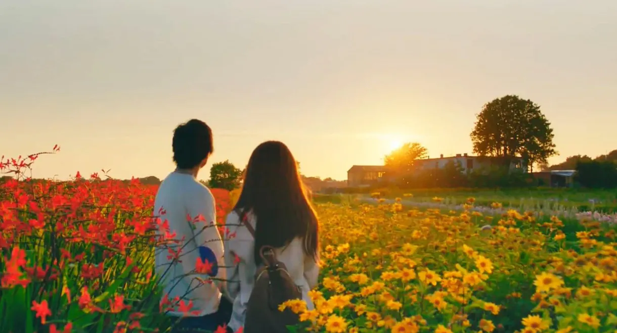 The Hows of Us