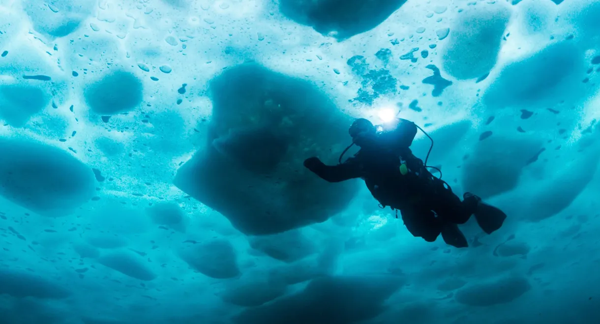 Bering Sea Gold: Under the Ice