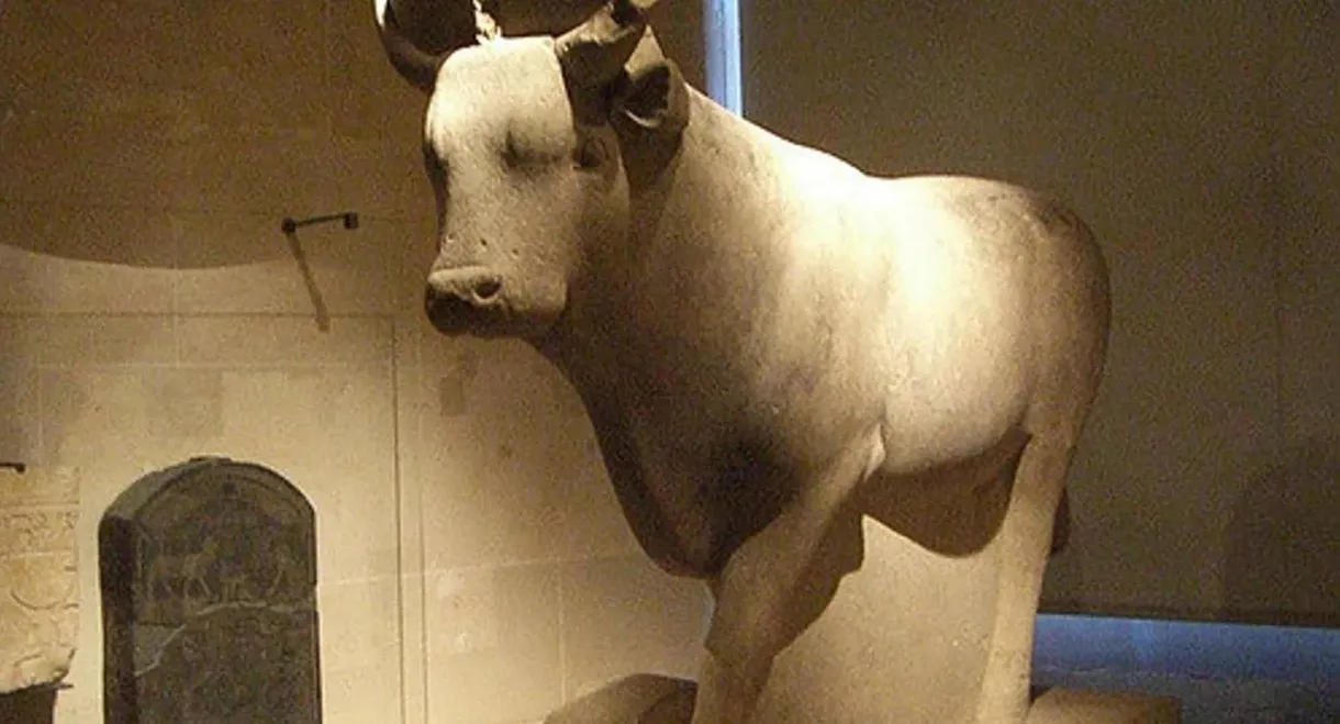 Egypt: The Treasure Of The Sacred Bulls