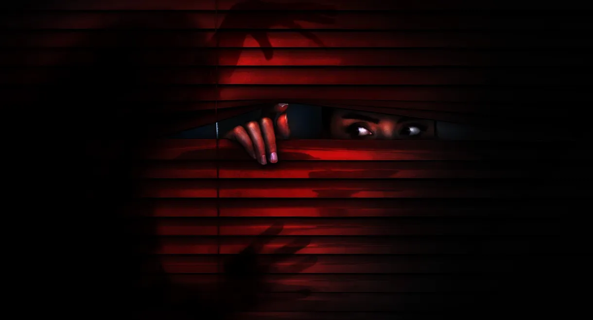 My Horror Story