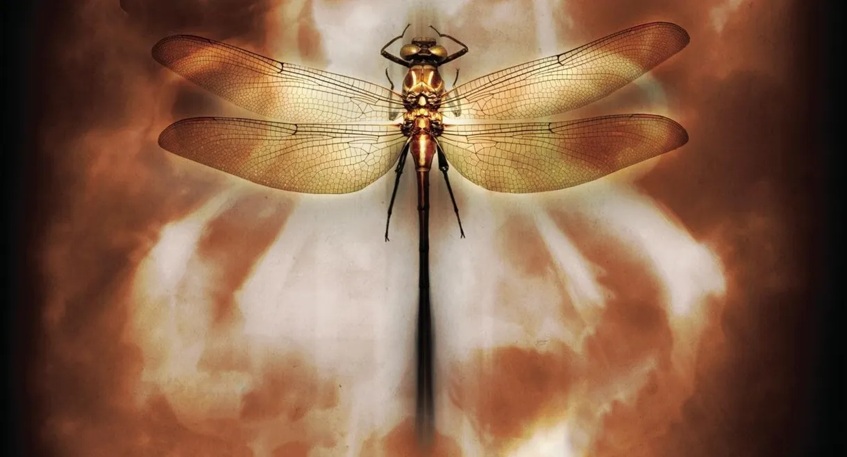 Coheed and Cambria: Neverender