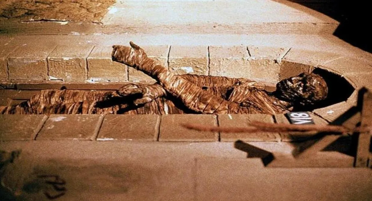 Dawn of the Mummy