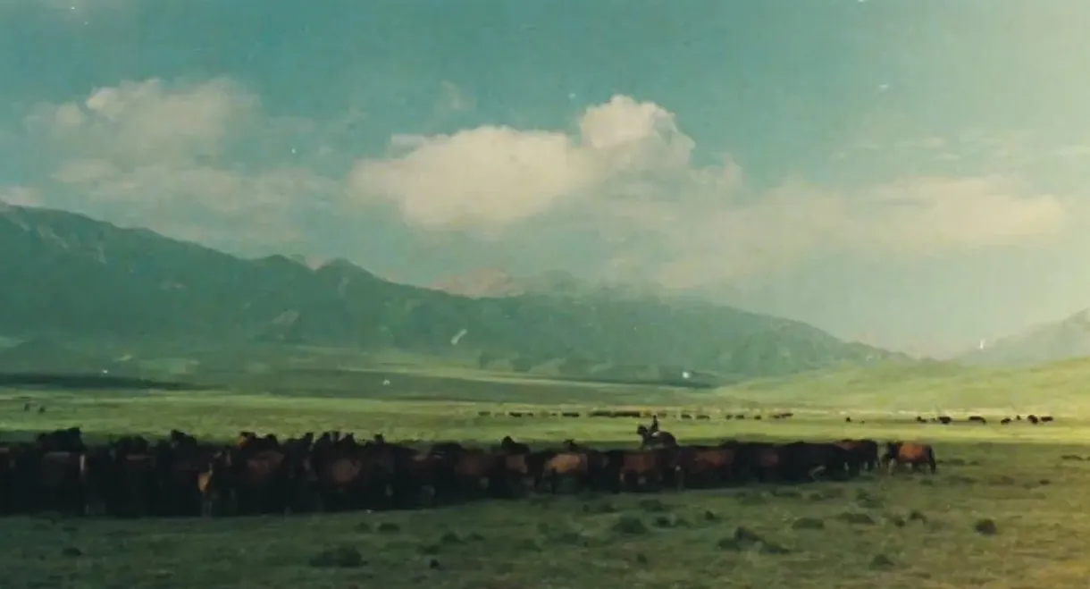 The Herdsman