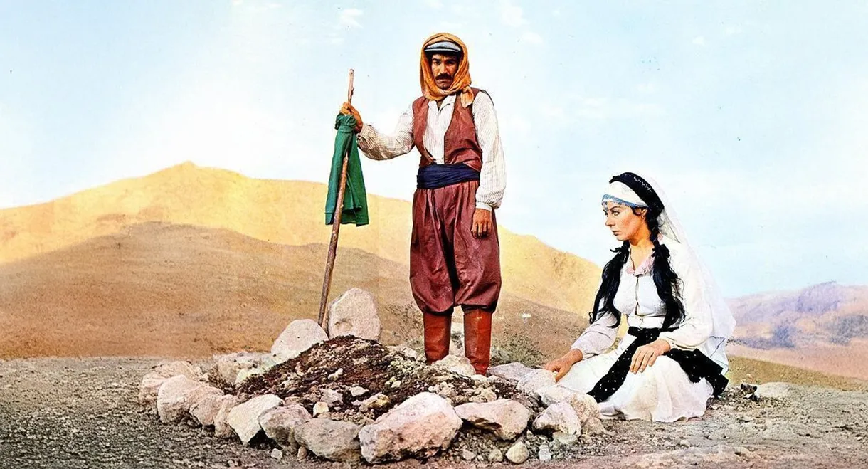 The Second Wife