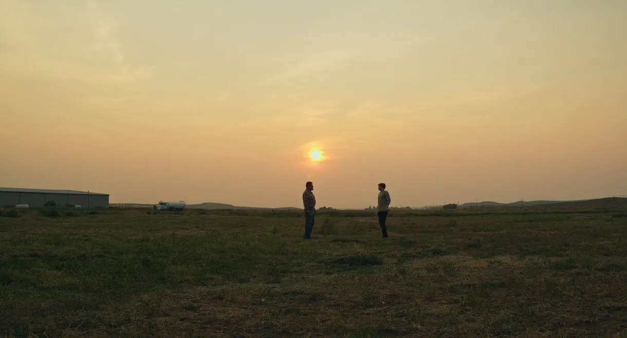 The Summer Field