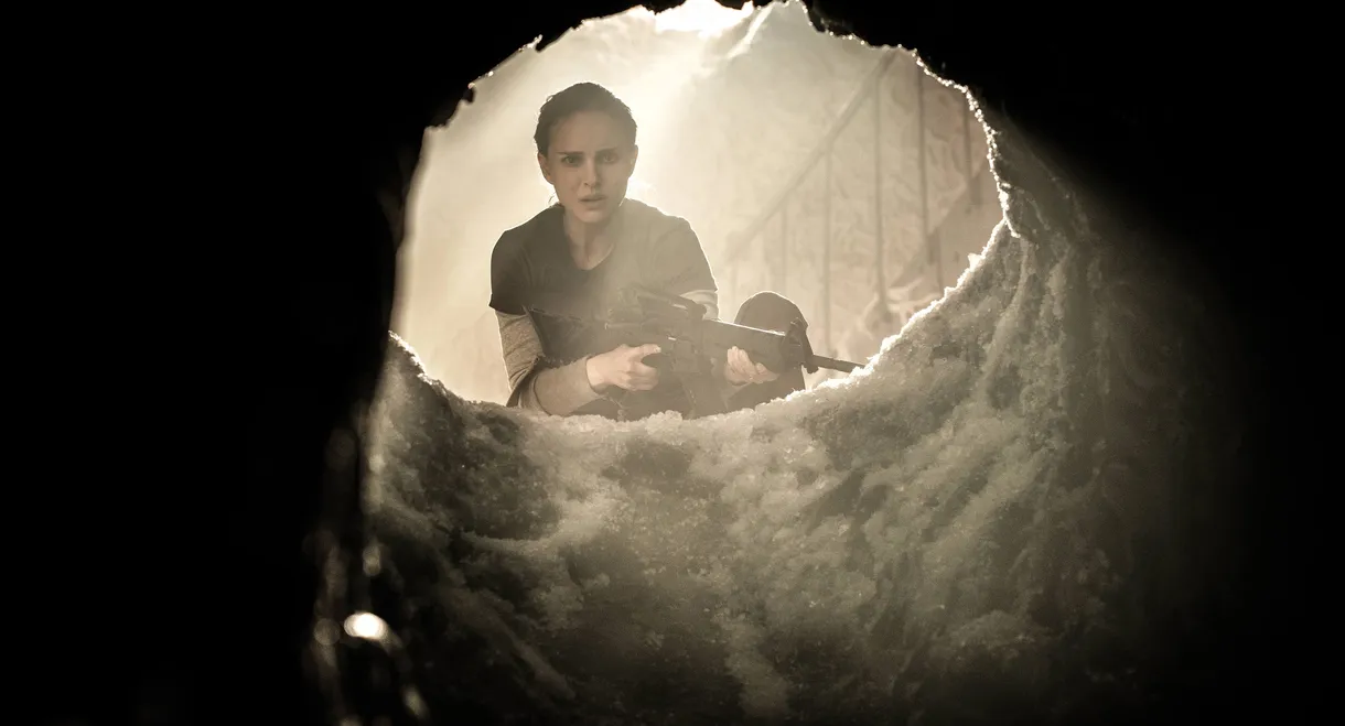 Annihilation