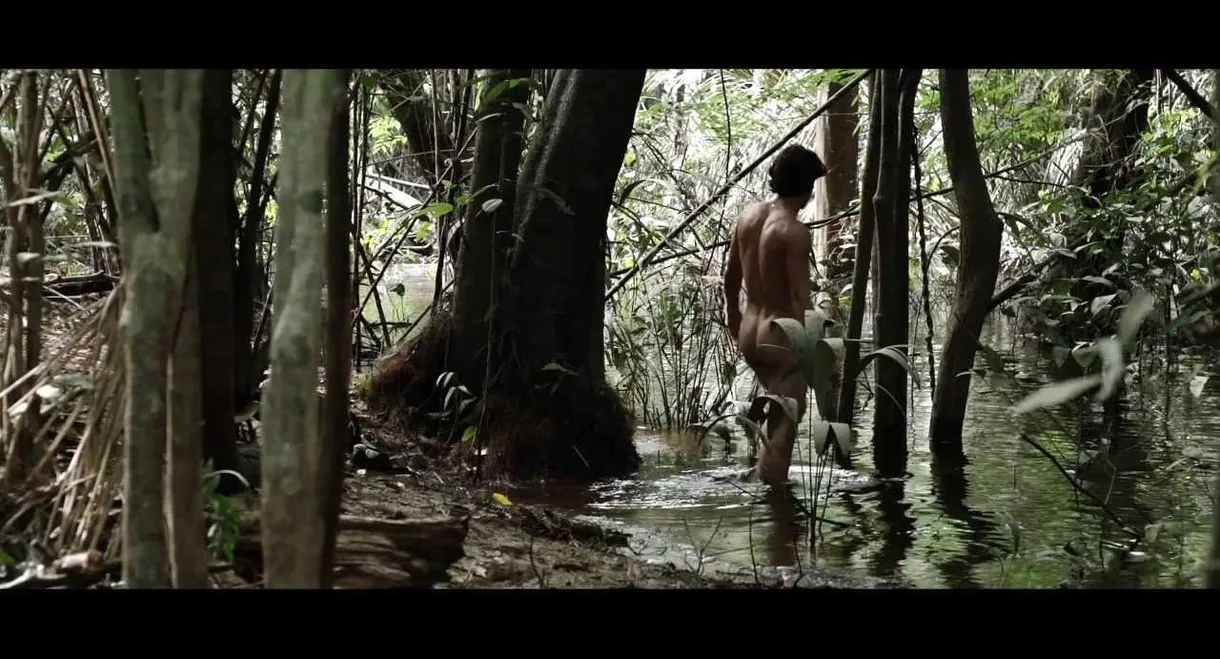 Jonathas' Forest