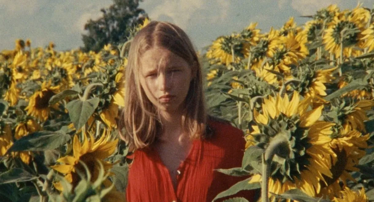 Alice and the Sunflowers