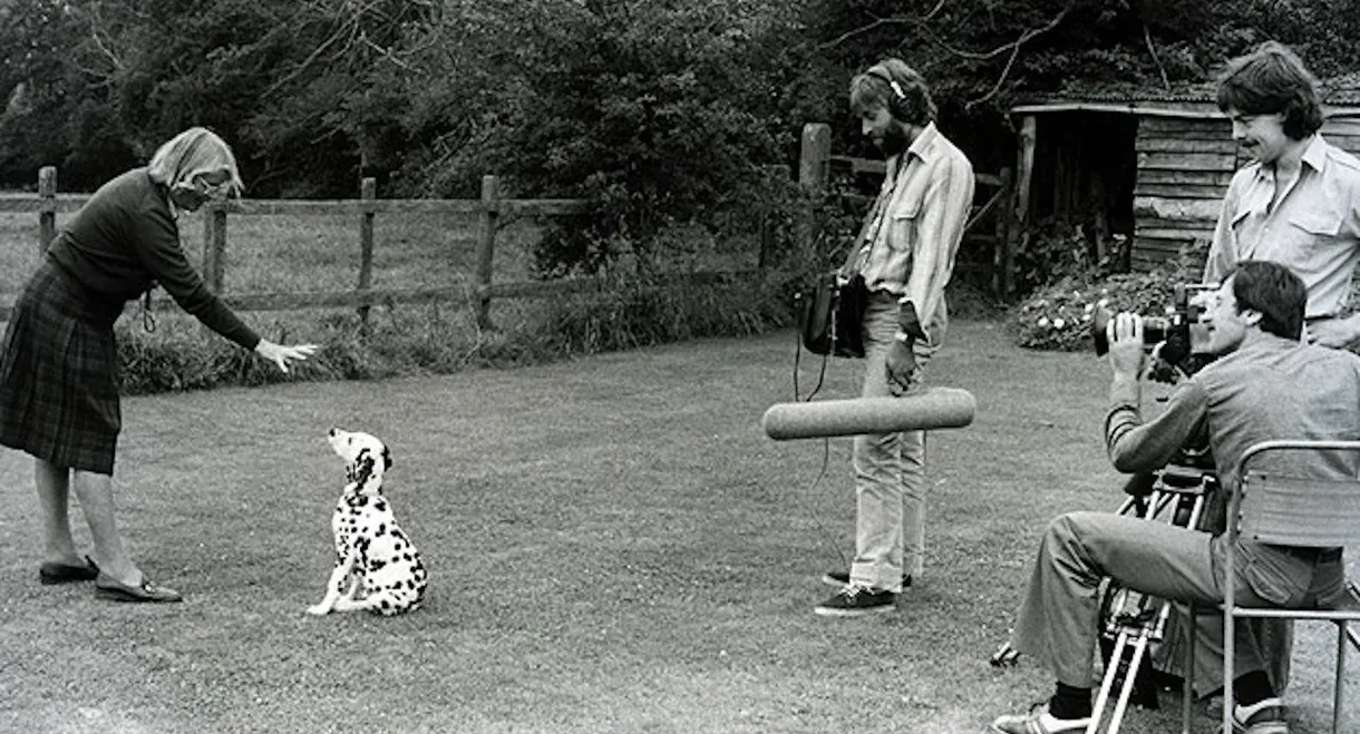 Training Dogs the Woodhouse Way