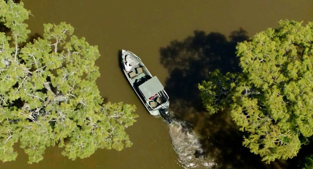 Drain the Oceans: The Mississippi River