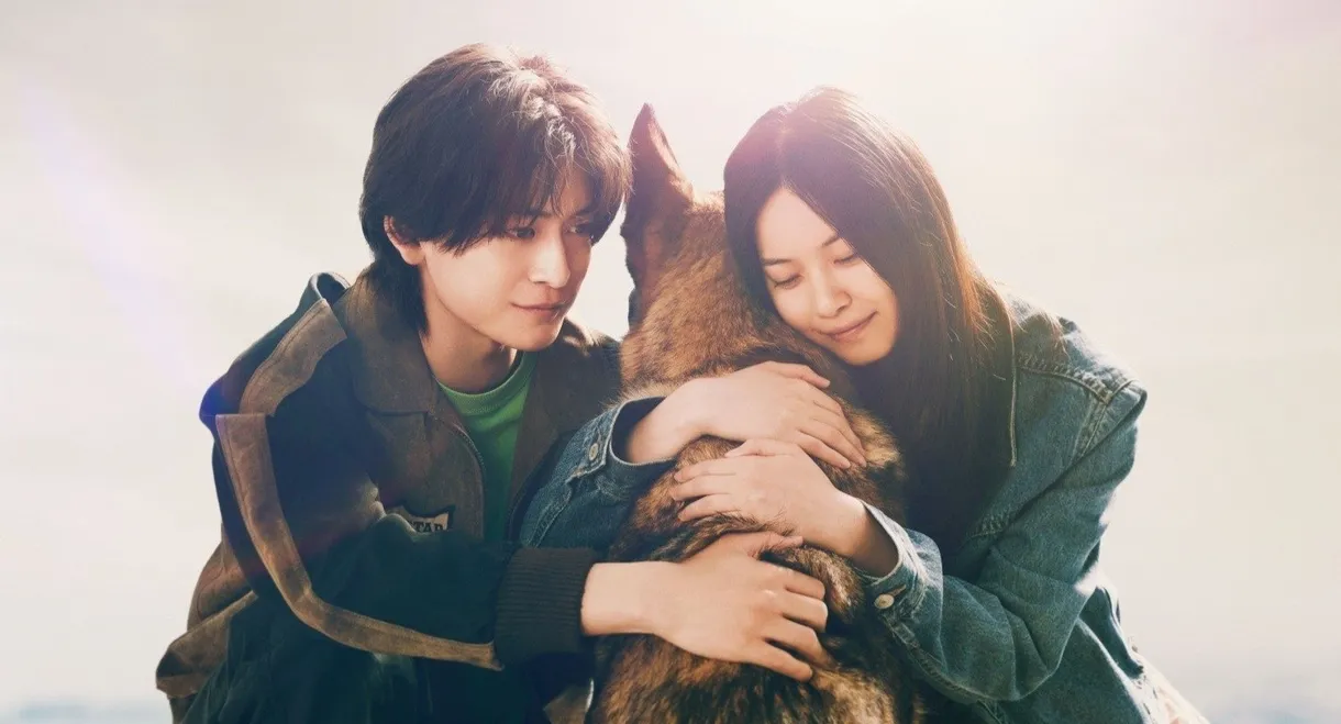 The Boy and the Dog