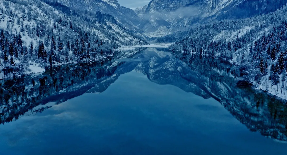 The Moon Beneath the Water