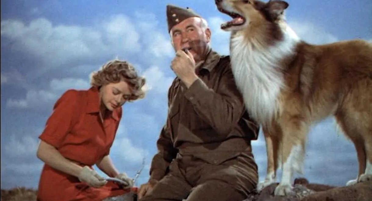Son of Lassie