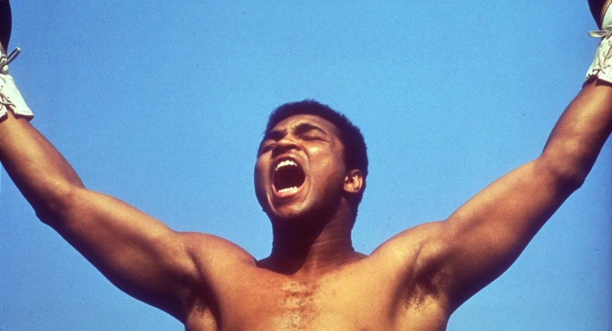 Facing Ali