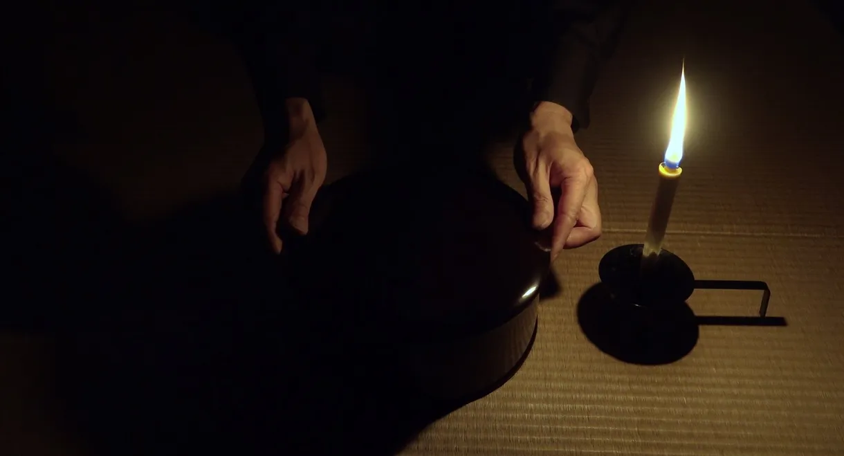 In Praise of Shadows