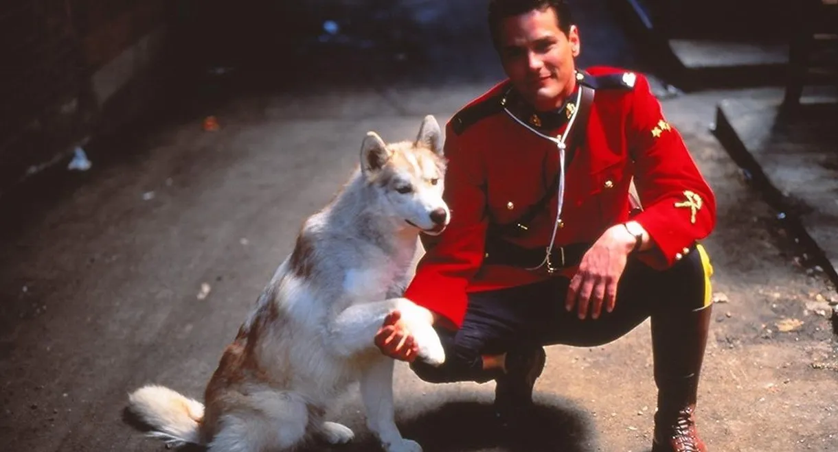 Due South