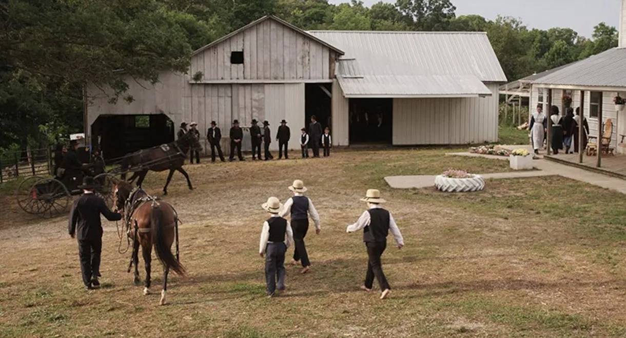 The Amish and the Reformation