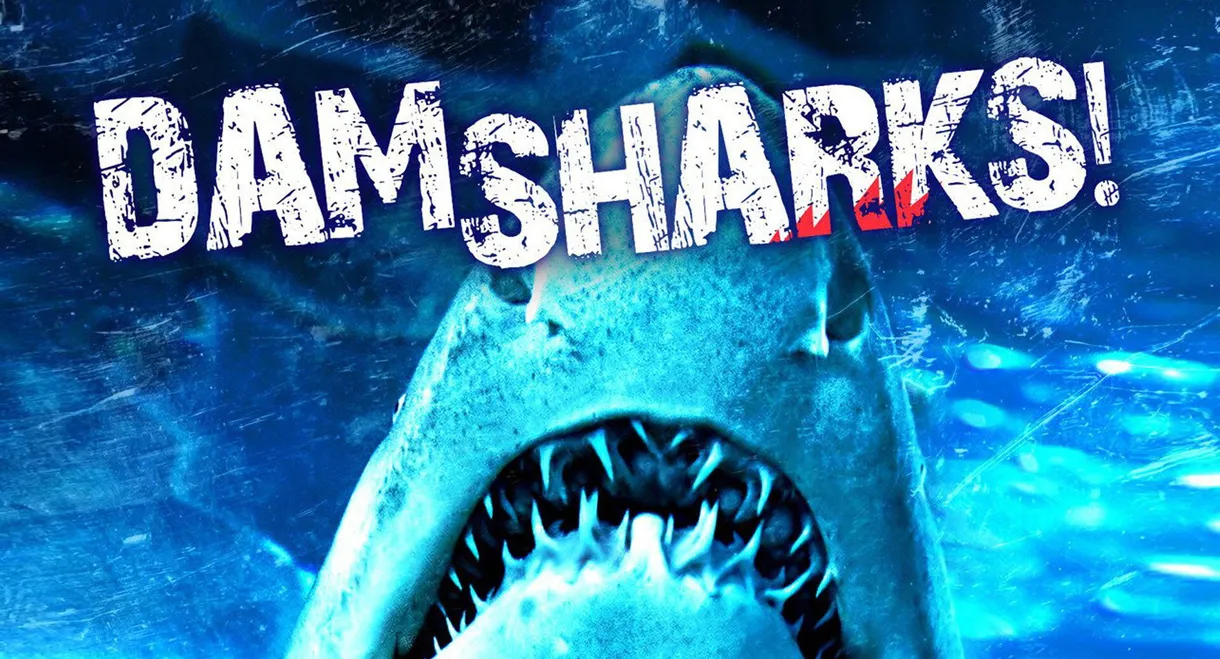 Dam Sharks!