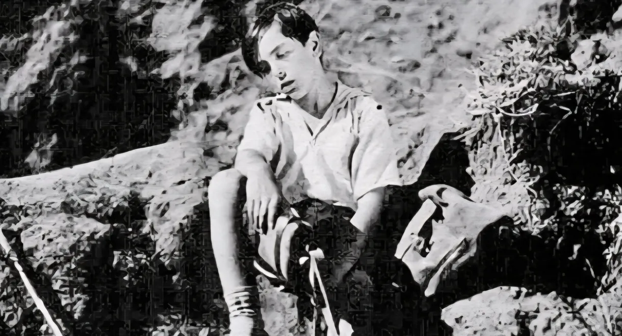 Oded the Wanderer