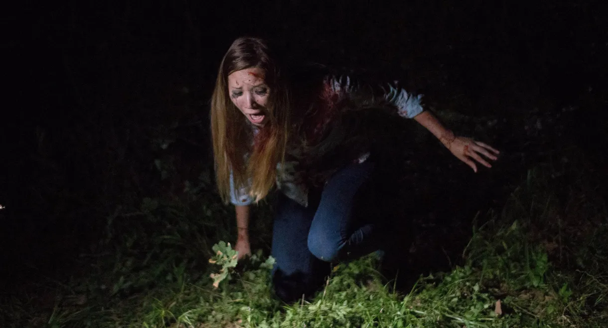 Found Footage 3D