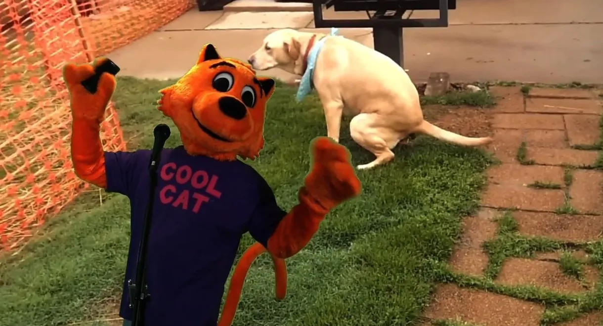 Cool Cat vs Dirty Dog 'The Virus Wars'