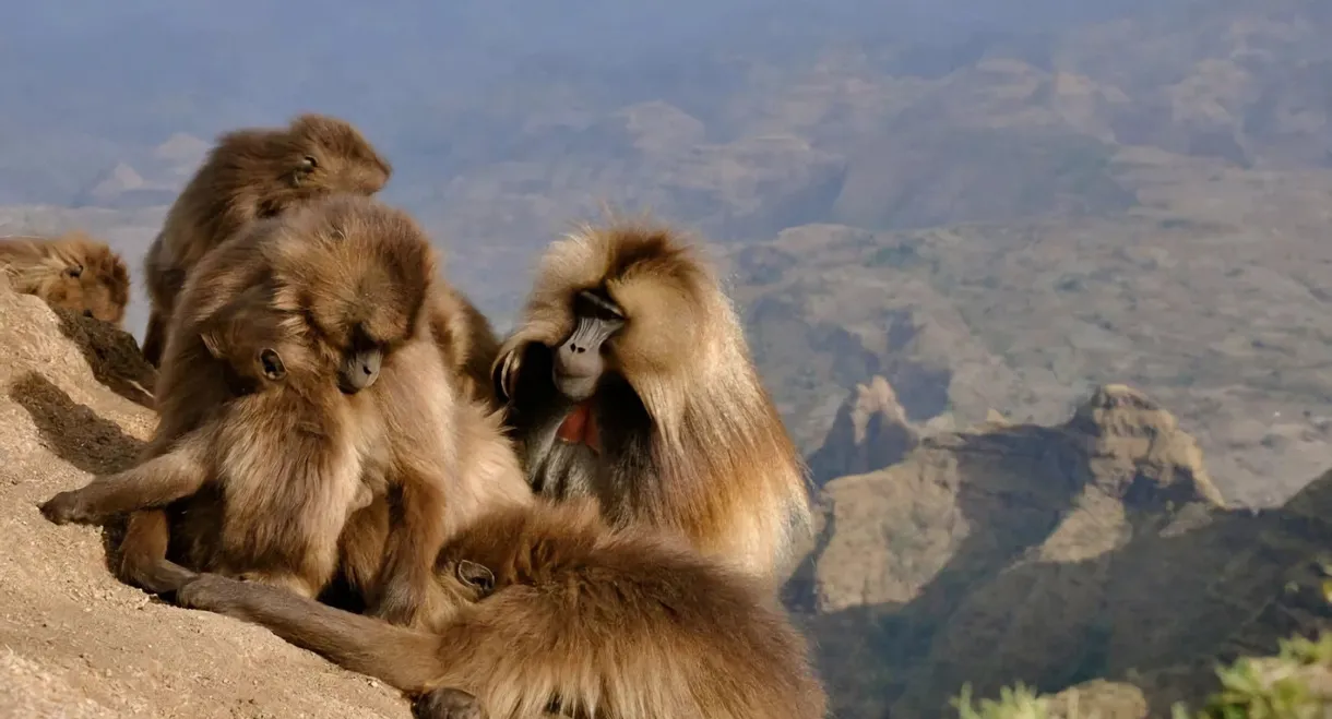 Africa's Hidden Wonders
