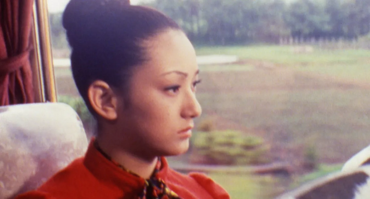 Woman on the Night Train