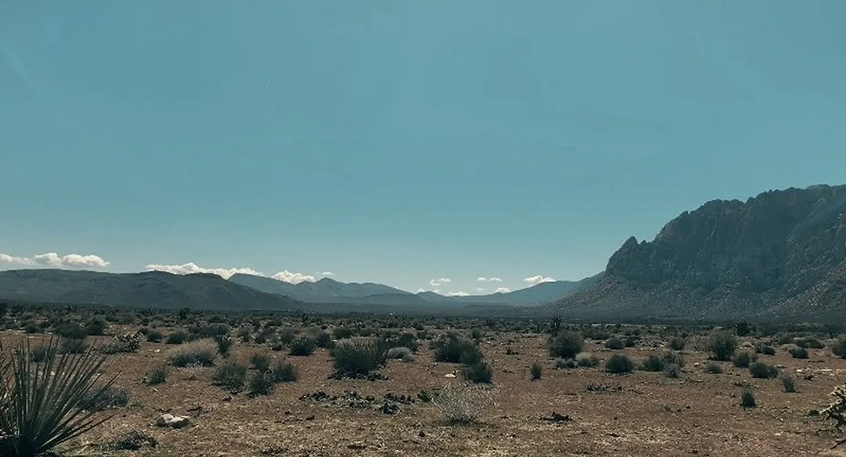 Mountains